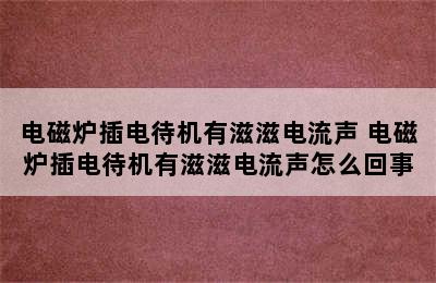 电磁炉插电待机有滋滋电流声 电磁炉插电待机有滋滋电流声怎么回事